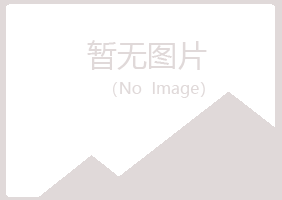 九江庐山夜山化学有限公司